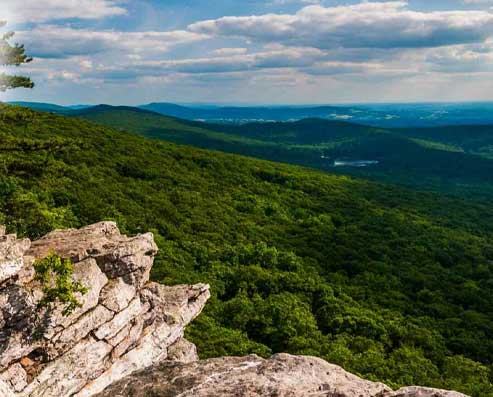 Welcome to Nasseri Clinic of Arthritic & Rheumatic Diseases in Edgewater, MD